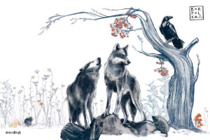 para szarych wilków przy drzewie z czarnym krukiem na gałęzi – fototapeta dla dzieci