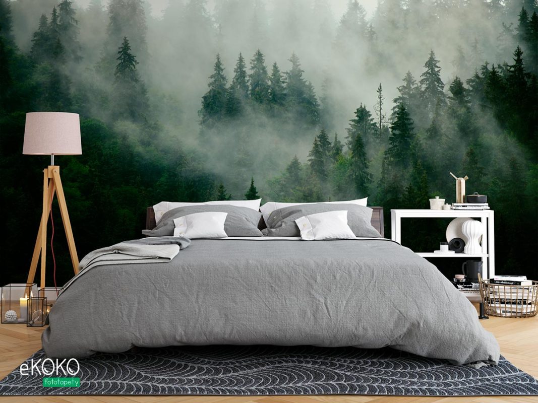zielony jodłowy las na wzgórzu przykryty mgłą - fototapeta