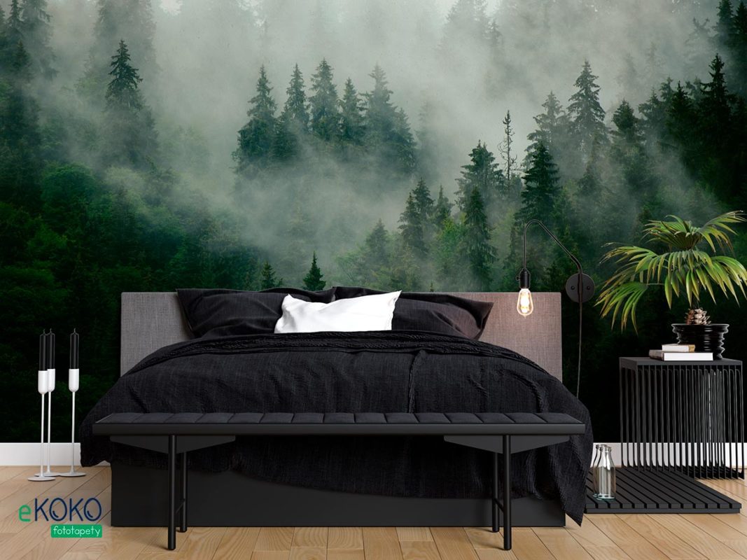 zielony jodłowy las na wzgórzu przykryty mgłą - fototapeta