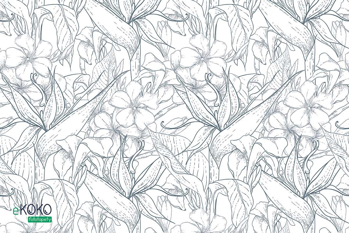 wzór rysowane kwiaty na białym tle - fototapety