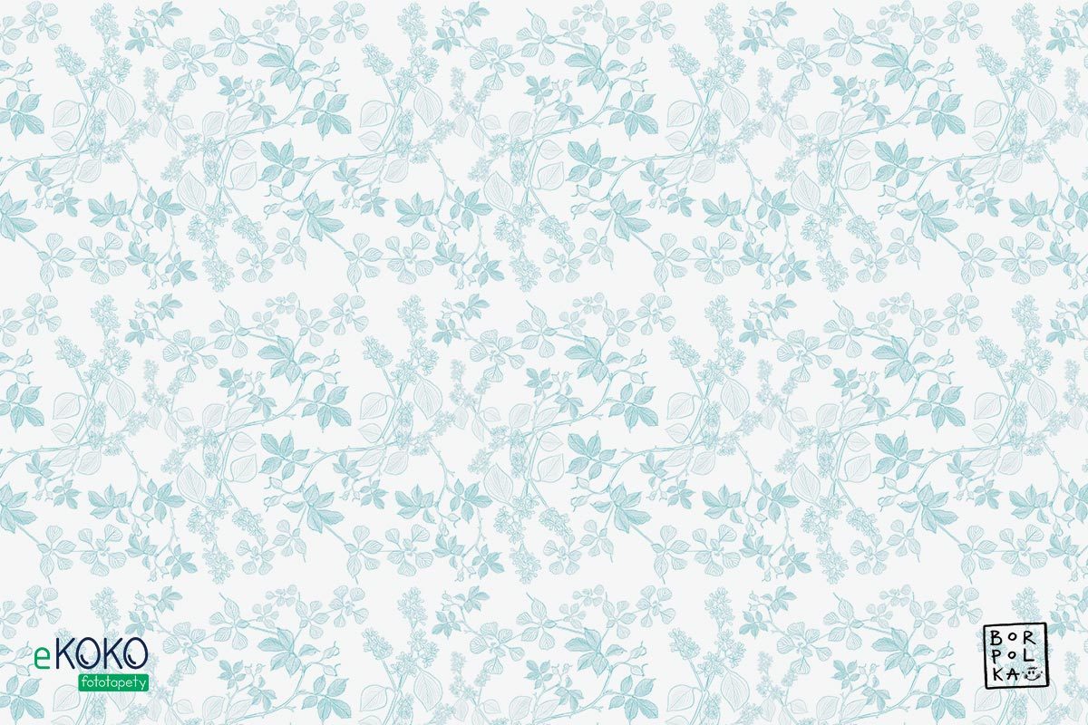 wzór delikatnych błękitnych liści leszczyny na białym tle - fototapeta