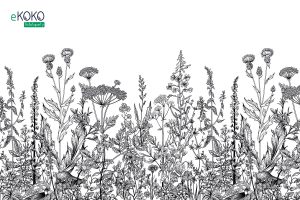 wzór narysowane rośliny trawiaste na białym tle - fototapeta