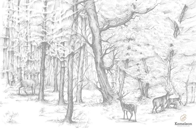 Tapeta “Forest Reverie B