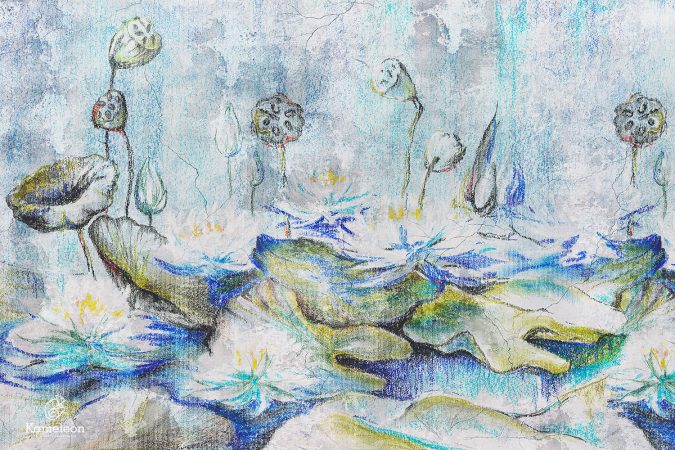 Tapeta “Water Lilies” Tapeta Water Lilies